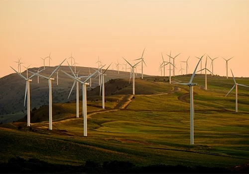 TotalEnergies Boosts Clean Energy Goals With Solarized Vietnam Plant